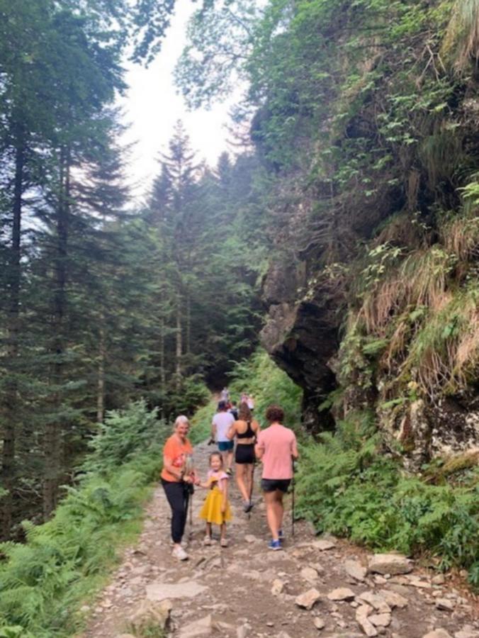 Appartement Tres Agreable Dans Belle Residence, Classe 3 Etoiles Par Le Comite Departementale Du Tourisme En Haute Garonne Bagnères-de-Luchon エクステリア 写真